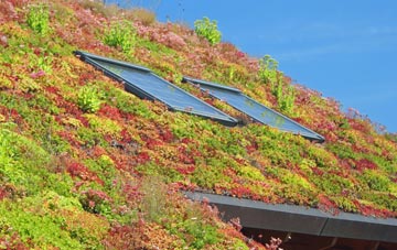 Inglewhite living roof systems